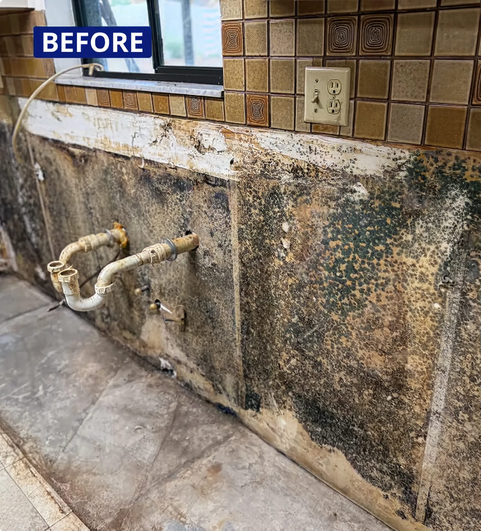 Before: mold across a kitchen wall