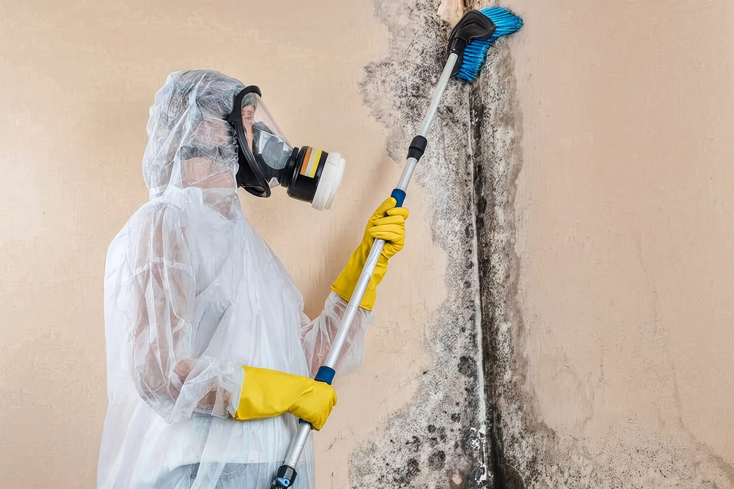 A technician in a respirator treating mold on an interior wall